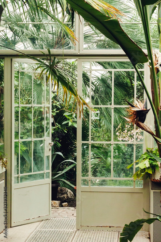 door in the greenhouse