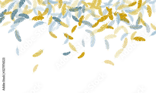 Fluffy twirled feathers on white design.