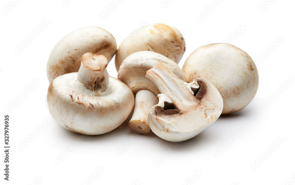 Mushroom Isolated on White Background Mushroom Isolated on White Background