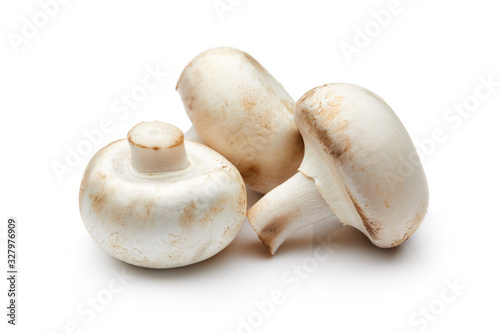 Mushroom Isolated on White Background