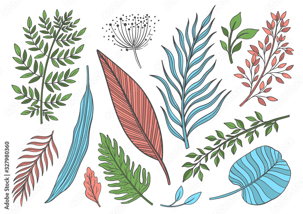 Plant nature hand drawn set. Collection botanical element.Elegant vintage style. Plant nature hand drawn set. Collection botanical element.Elegant vintage style.