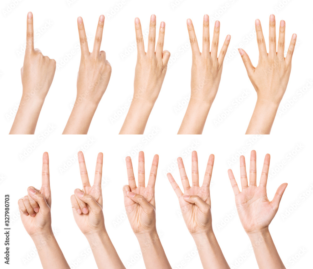 A set, group of hand gesture(number) isolated on white.