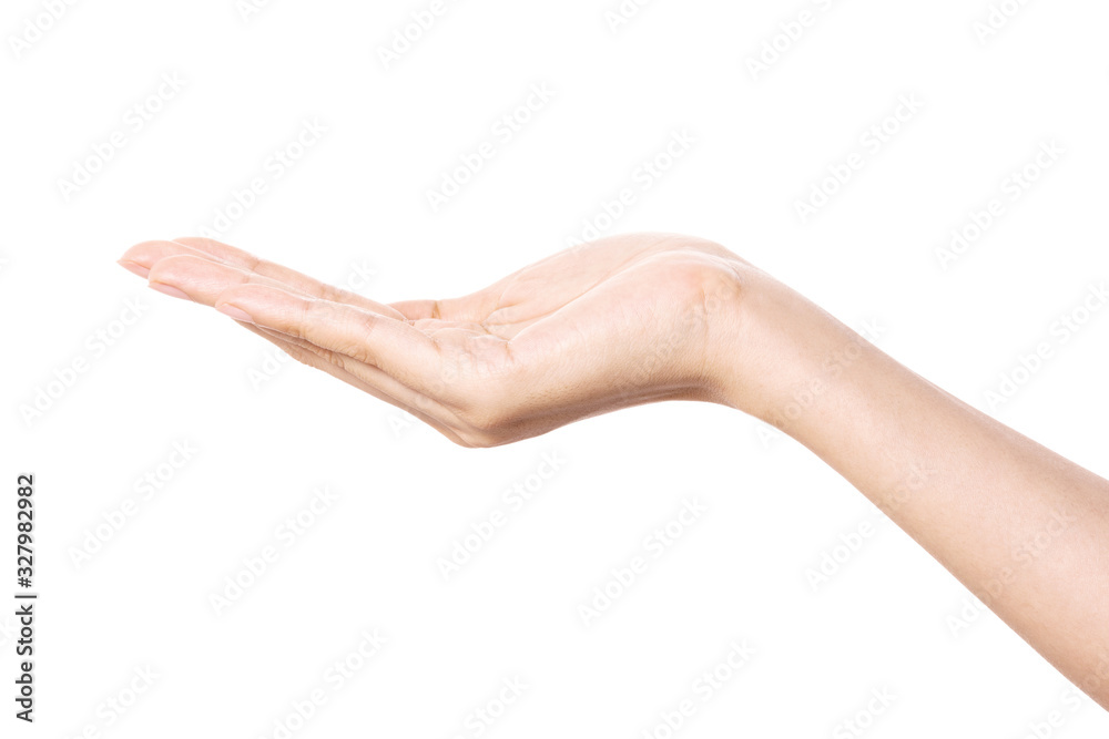 woman hand gesture (give, recieve, share) isolated on white. woman hand gesture (give, recieve, share) isolated on white.