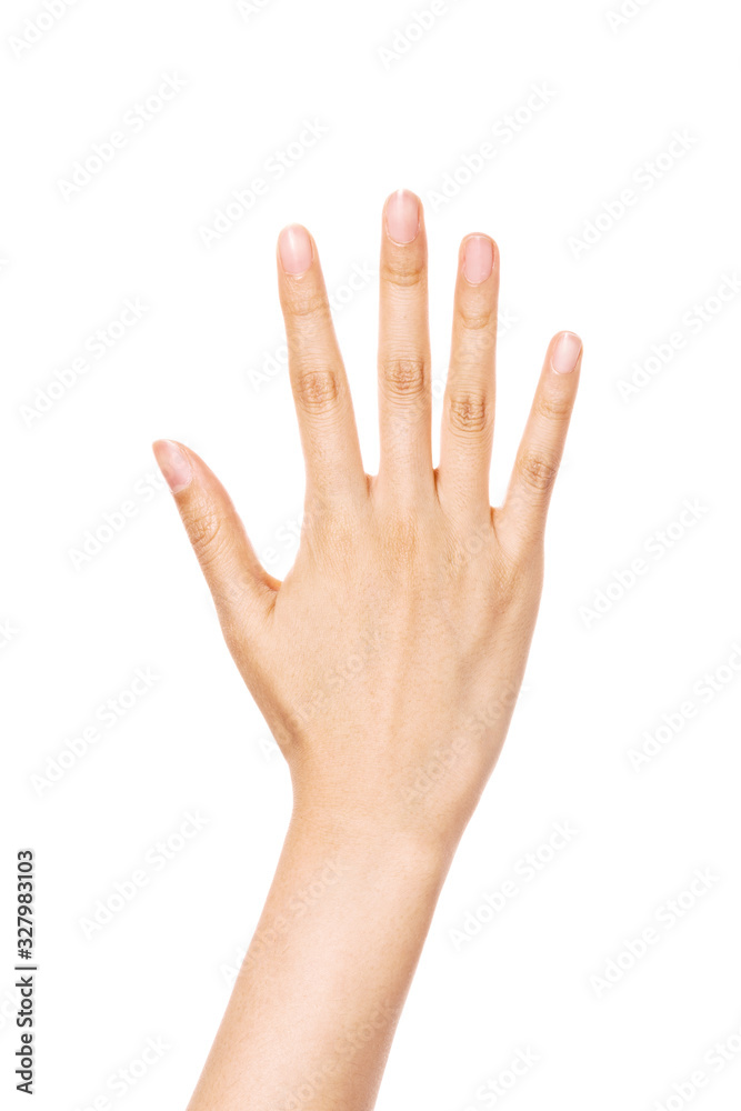 woman hand gesture (number 5) isolated on white. woman hand gesture (number 5) isolated on white.