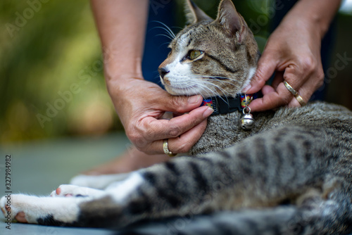 The woman wearing a collar for a cat, close up Thai cat
