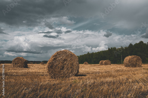 Haystacks in farm field