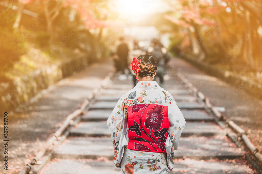  Young women wearing traditional Japanese Kimono with colorful maple trees in autumn is famous in autumn color leaves and cherry blossom in spring, Kyoto, Japan.