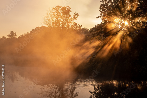 Sunrise in the Forest with Golden Sun Rays Through the Trees Over a Calm River