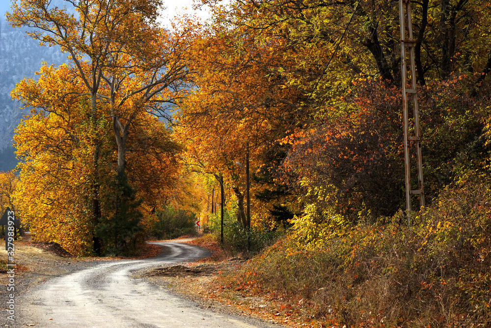 Landscape image of dirt country road with colorful autumn leaves and trees in forest of Mersin, Turkey