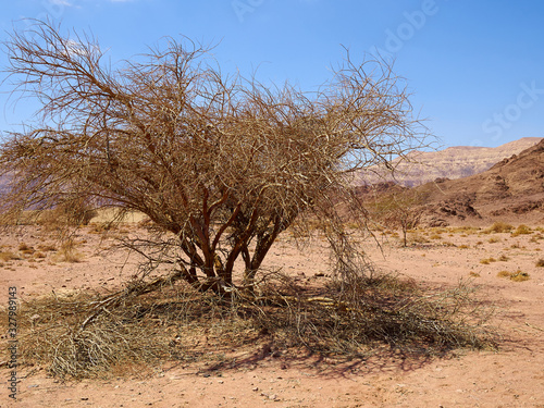 Timna Park and King Solomon s Mines Negev Desert Israel