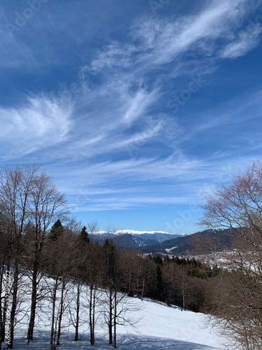 winter mountain landscape with trees and blue sky © Yulia