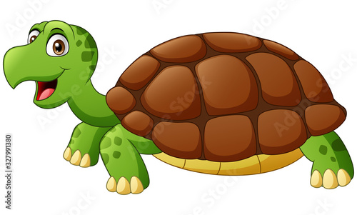 Cute turtle cartoon. Vector illustration