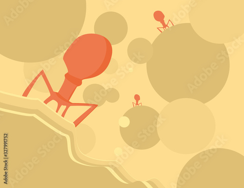 Vector of escherichia coli (E.coli) look through the microscopic  ,E.coli is a bacteria that produces toxins that can cause diseases in the digestive tract of people.