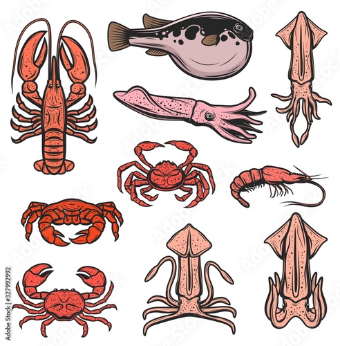 Fishes, seafood and marine animals, oceanarium underwater world and fishing. Vector seafood squid, shrimp and prawn, octopus and lobster crab, fugu puffer fish, ocean cuttlefish
