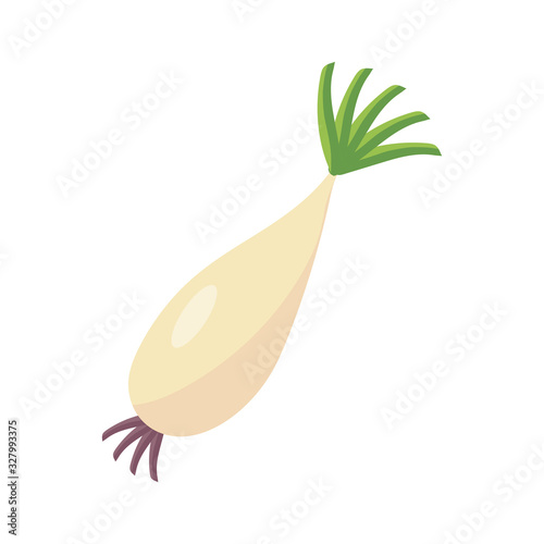 radish icon, flat detail style