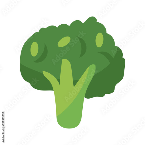 broccoli vegetable icon, flat detail style