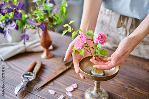 A young woman florist create flower arrangement Ikebana in kenzan. Uses scissors and pruner. Seasonal summer garden flowers.