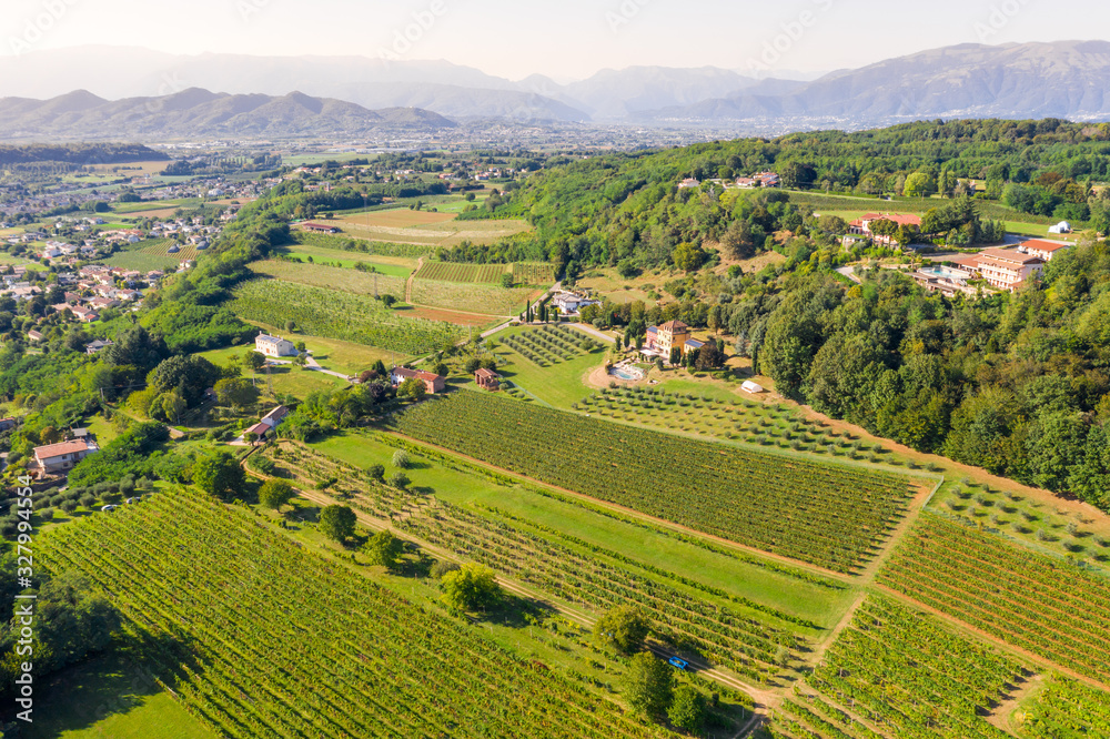 Aerial view of the vineyard-covered hills of the northern Italian countryside in a late afternoon spring day