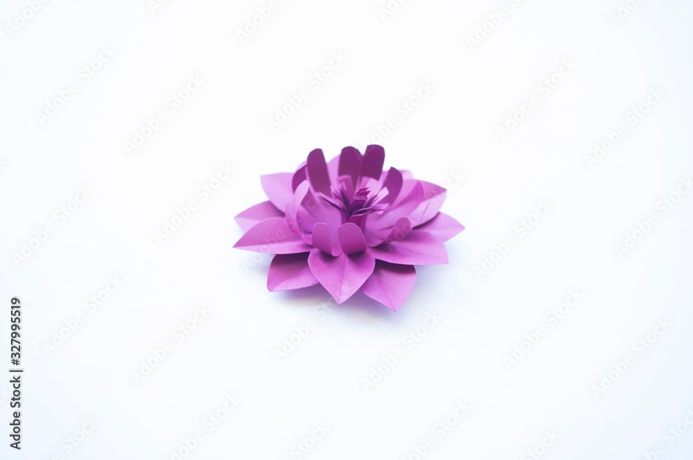 Flower made of paper. Rainbow color.