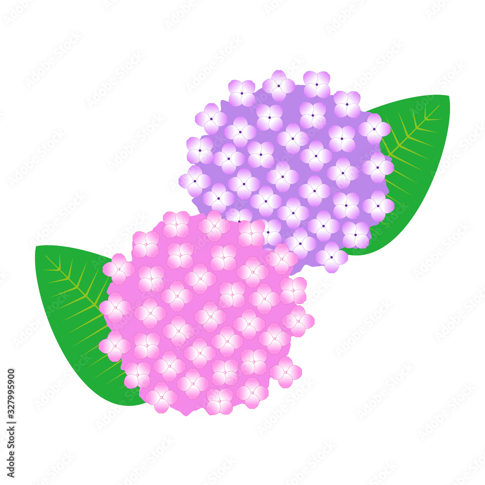 あじさいのイラスト あじさいのイラスト