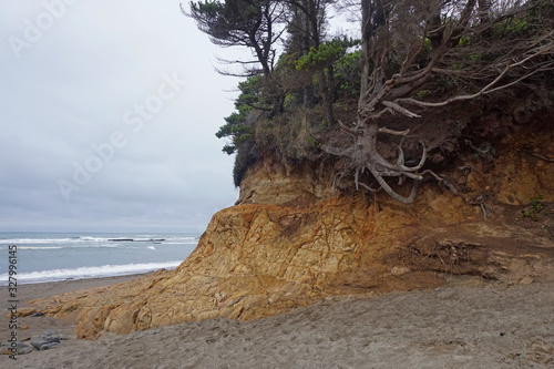 Erosion at Fogerty Creek on the Oregon coast