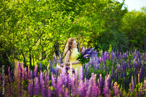 A young beautiful girl in a yellow dress holds a large bouquet of purple lupins in a blooming field. Blooming Lupin flowers. environmentally friendly. The concept of nature. Soft focus. © Elena 