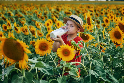 Obraz na płótnie A boy drinks milk from a bottle on a walk in sunflowers w salonie