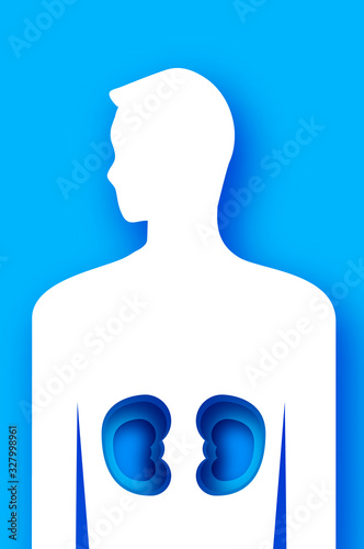 Male kidney. Anatomy of human body in paper cut style. Healthy sistem. Medical organ symbol. Blue background.