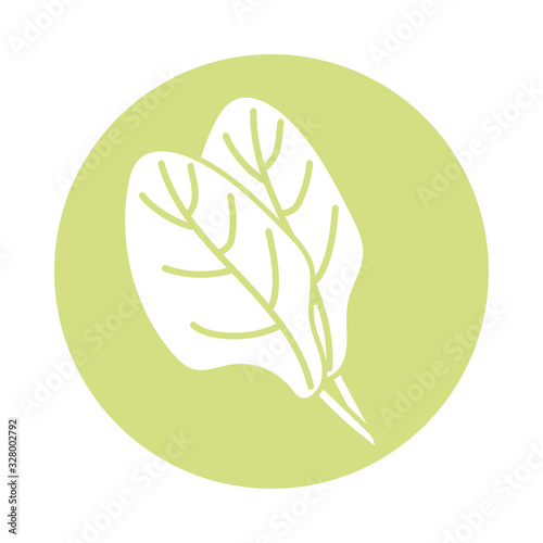 spinach vegetable icon, block style