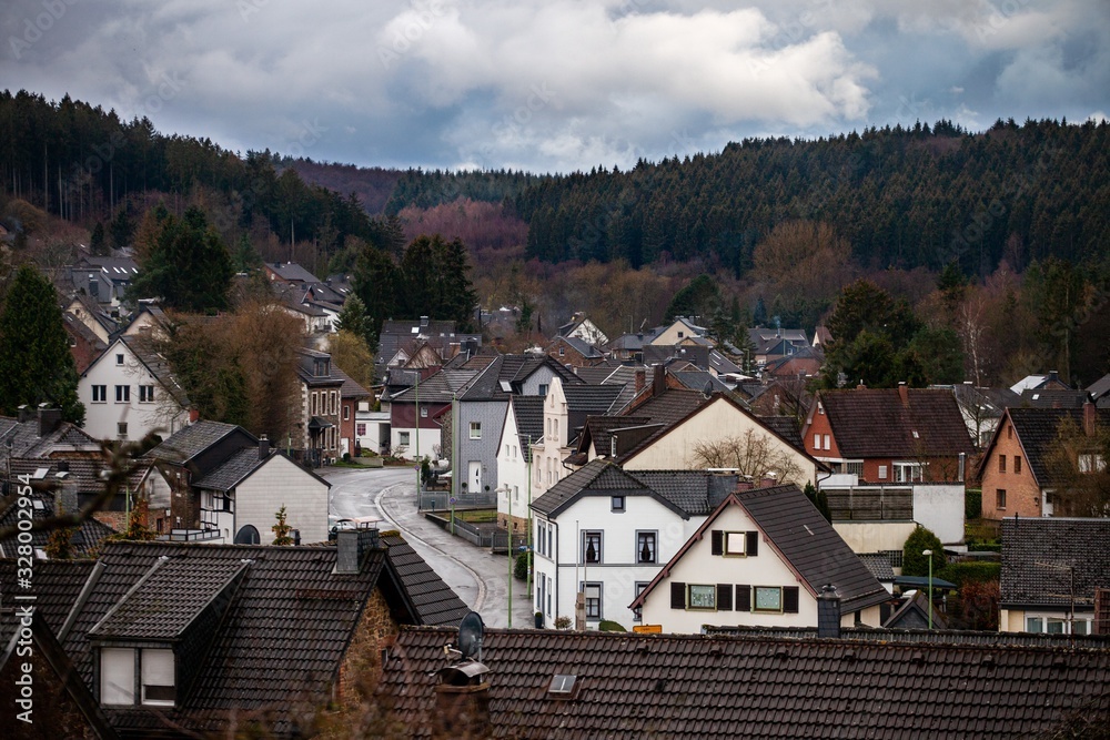 view of small european town with forest in background