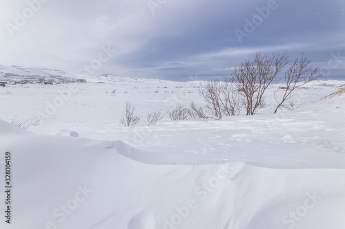 Snow-covered tundra, the Kola Peninsula, Teriberka, Russia