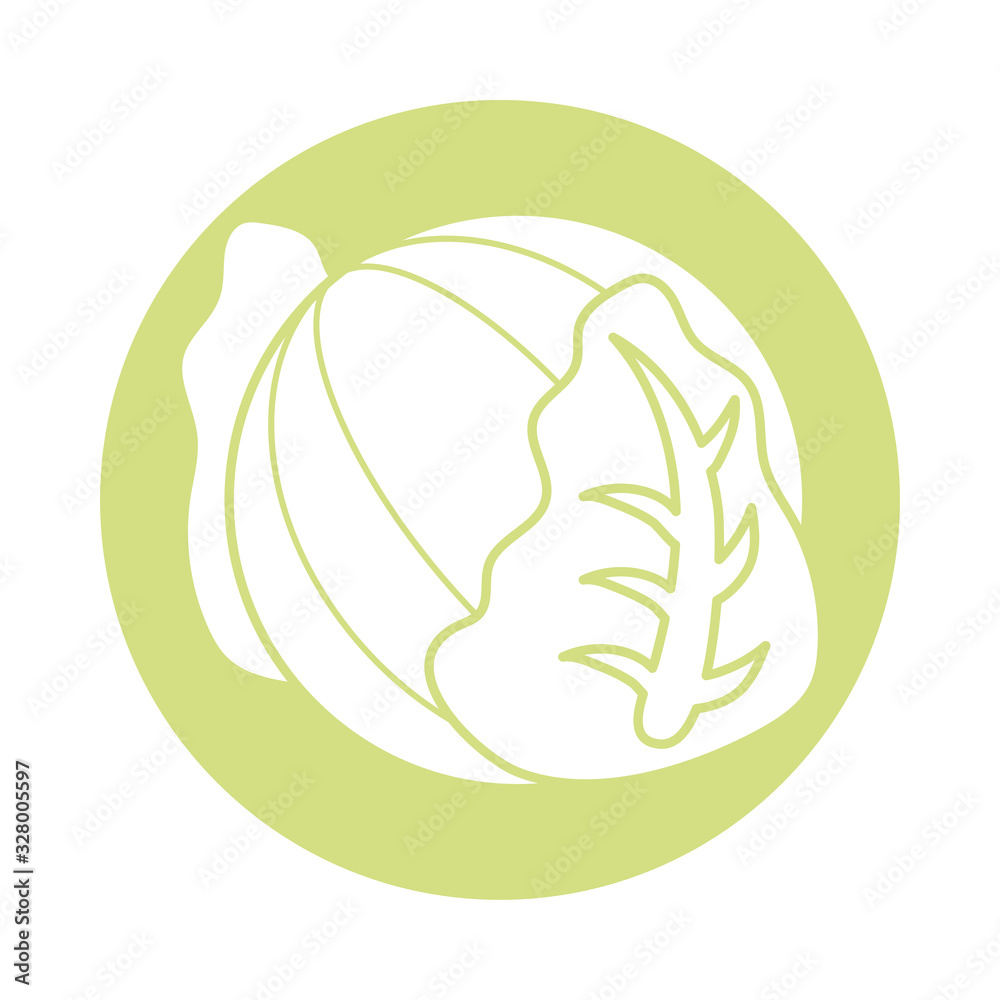 cabbage vegetable icon, block style cabbage vegetable icon, block style