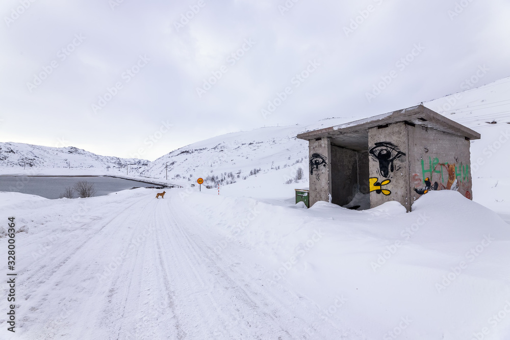 A bus stop covered in snow. A dog standing next to a bus stop A bus stop covered in snow. A dog standing next to a bus stop