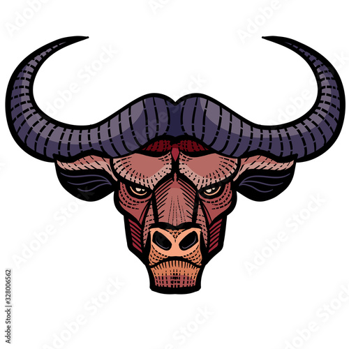 decorative bull head with patterns for logo, label, packaging, tattoo, isolated object on a white background,