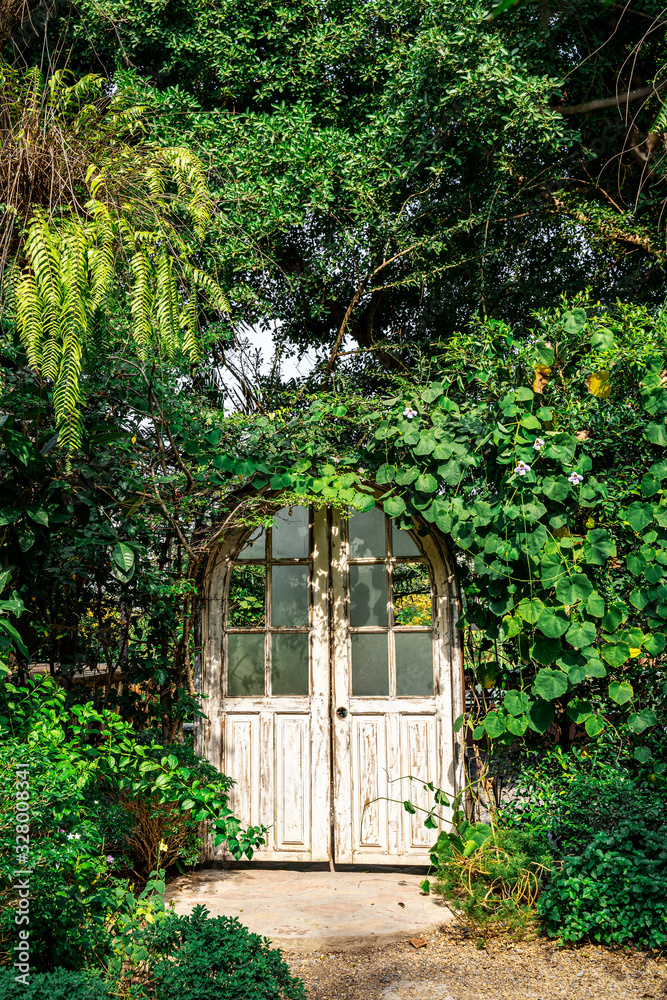 Old white wooden door in the garden with green tree and plant. Fantasy  decoration park. Stock Photo