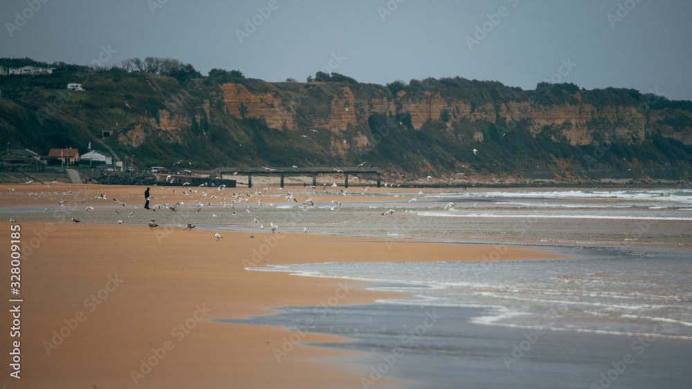 Beach with seagulls