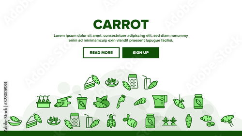 Carrot Bio Vegetable Landing Web Page Header Banner Template Vector. Carrot Sliced Pieces And Healthy Drink, Fresh And Pickles, Growing And Pie Illustration