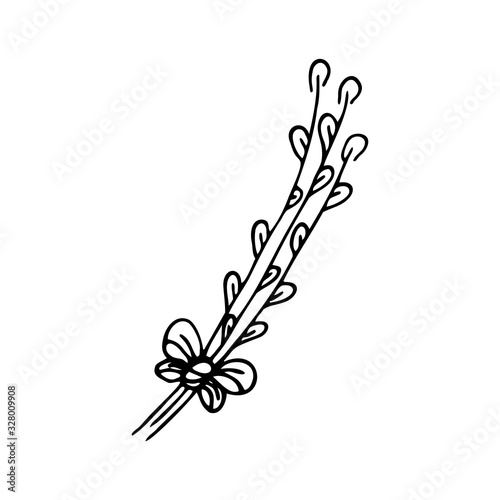 Hand drawn willow twigs on a white isolated background. Doodle, simple outline illustration. It can be used for decoration of textile, paper.