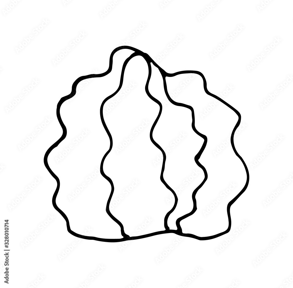 Cactus vector doodle cartoon Hand drawn illustration Cactus vector doodle cartoon Hand drawn illustration