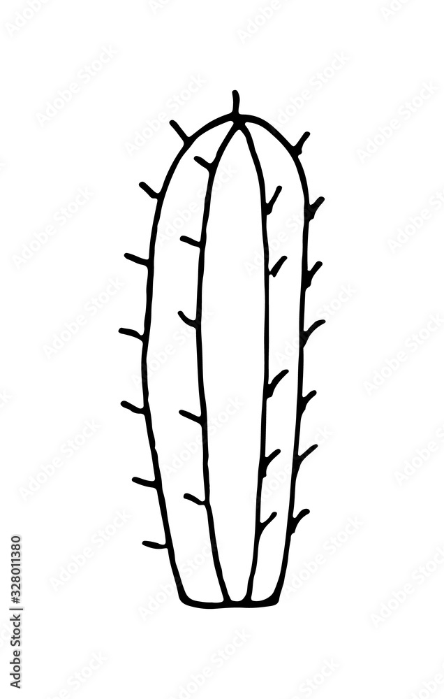 Cactus vector doodle cartoon Hand drawn illustration Cactus vector doodle cartoon Hand drawn illustration