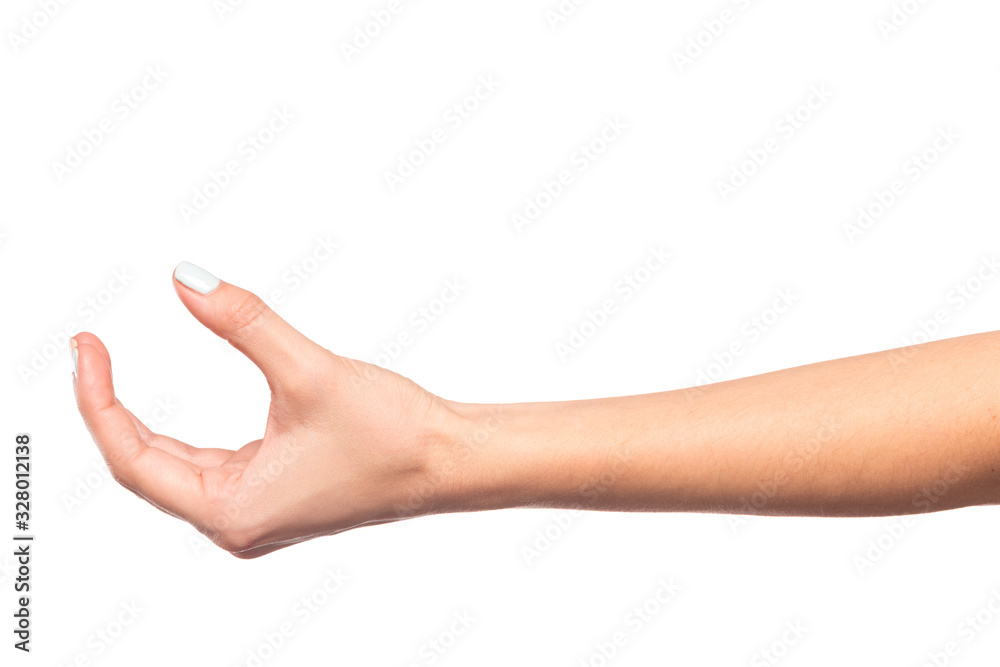 female hand isolated on white background showing hand gestures - Image female hand isolated on white background showing hand gestures - Image