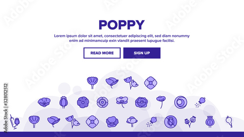 Poppy Natural Flower Landing Web Page Header Banner Template Vector. Poppy Seeds And Bouquet, Petals And Bud, Syringe With Drugs And Crossed Mark Illustration