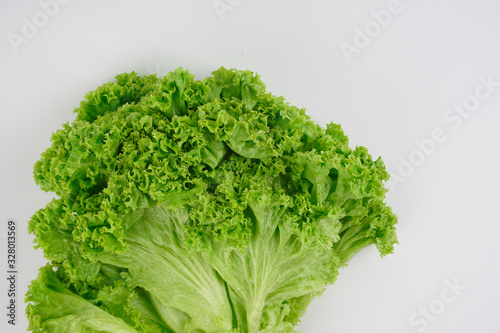 Green lettuce over white background