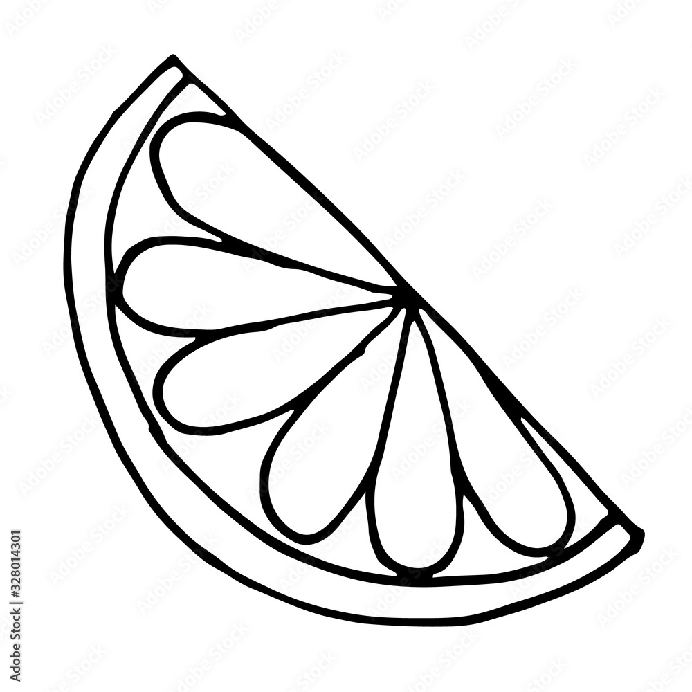 Hand drawn slice of orange vector illustration Hand drawn slice of orange vector illustration