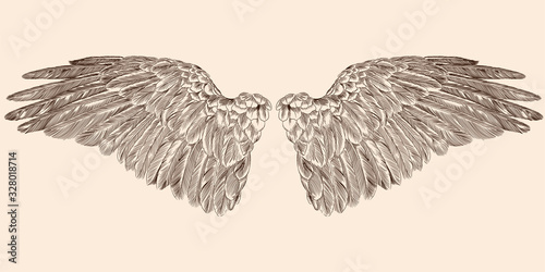 Two spread wings of an angel made of feathers isolated on a beige background.