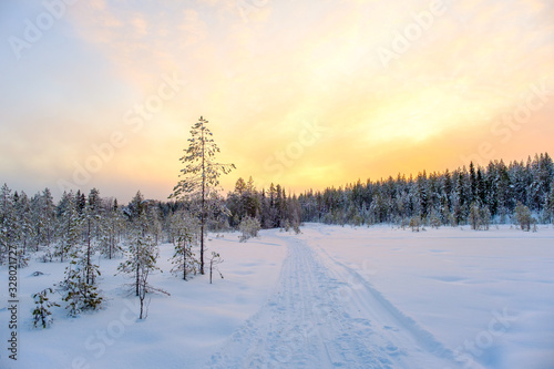 Winter landscape. Winter road through a snow-covered forest © Iurii