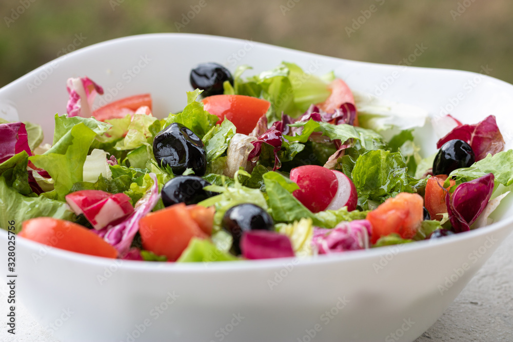 Green vegan salad from green leaves mix and vegetables in white bowl.Summer Easter diet salad dish of lettuce, radicchio, Lollo Rossa, endives, radishes, green onions, cucumbers, olives and tomatoes Green vegan salad from green leaves mix and vegetables in white bowl.Summer Easter diet salad dish of lettuce, radicchio, Lollo Rossa, endives, radishes, green onions, cucumbers, olives and tomatoes