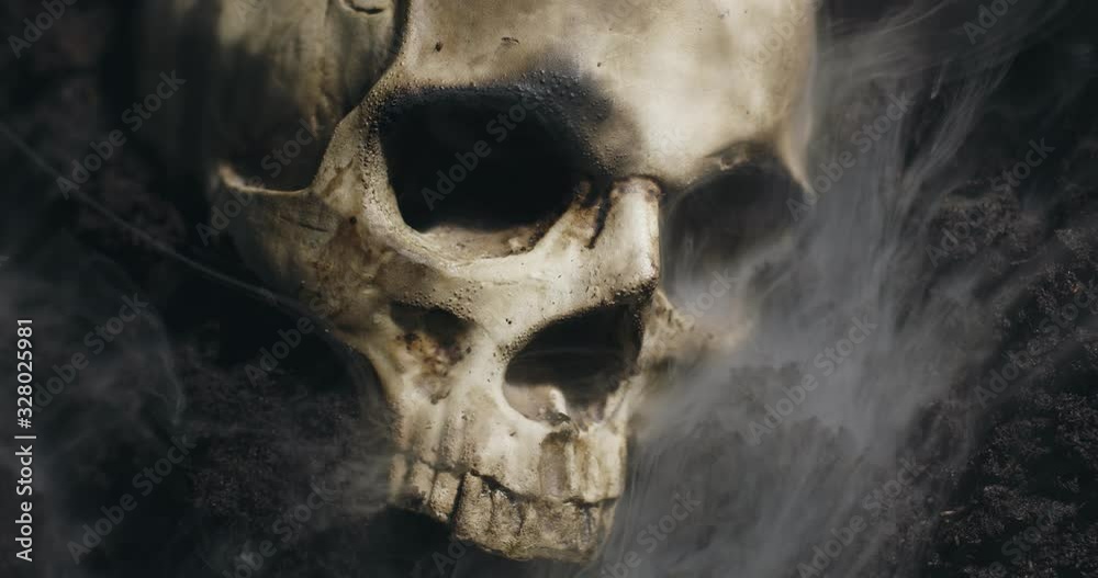 Human skull on the wet soild with smoke flowing