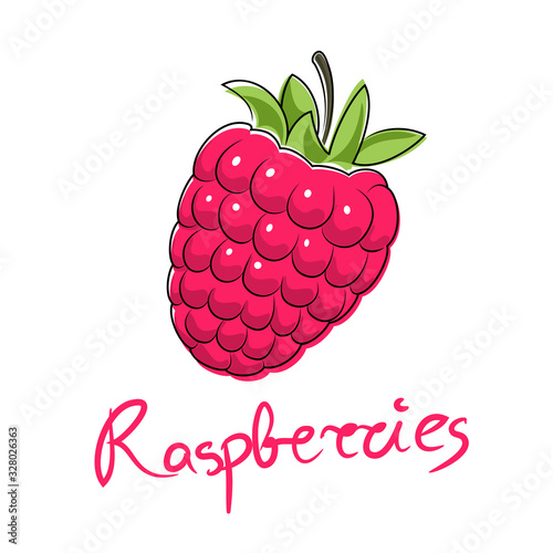 Sweet pink berry raspberries and text Raspberries , fruit isolated on white background, vector illustration