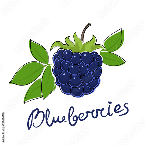 Sweet black berry blueberries and text Blueberries , fruit isolated on white background, vector illustration